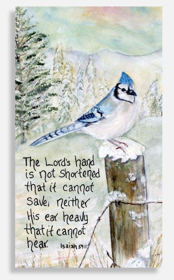 "The lord our Savior" (Magnet)