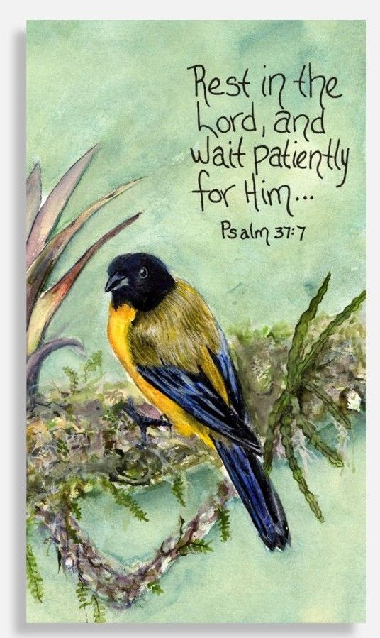 "Psalm 37:7" (Magnet)