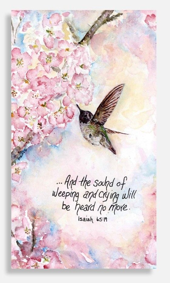 "No More Crying" (Magnet)