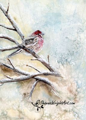 Custom verse can be added (ORIGINAL)