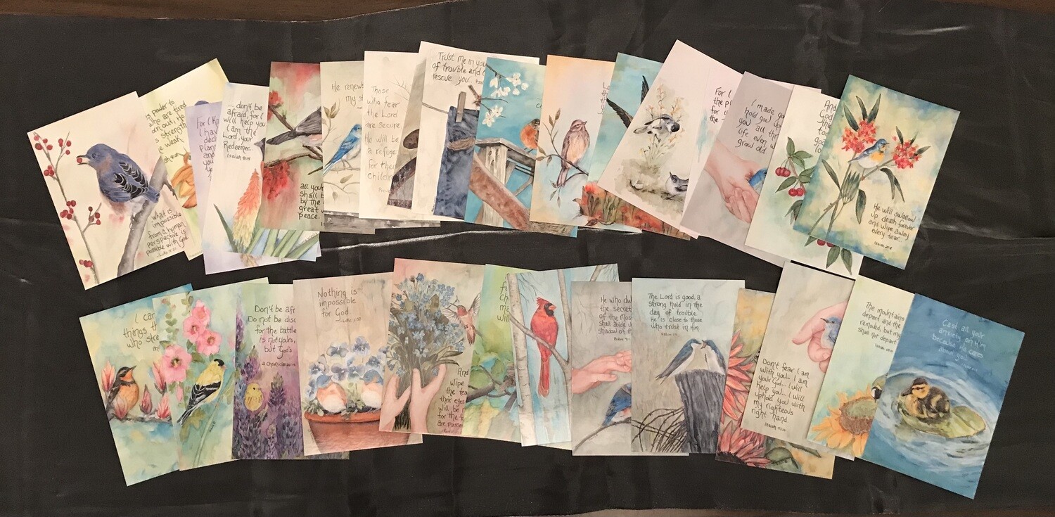 Variety Pack of 28
