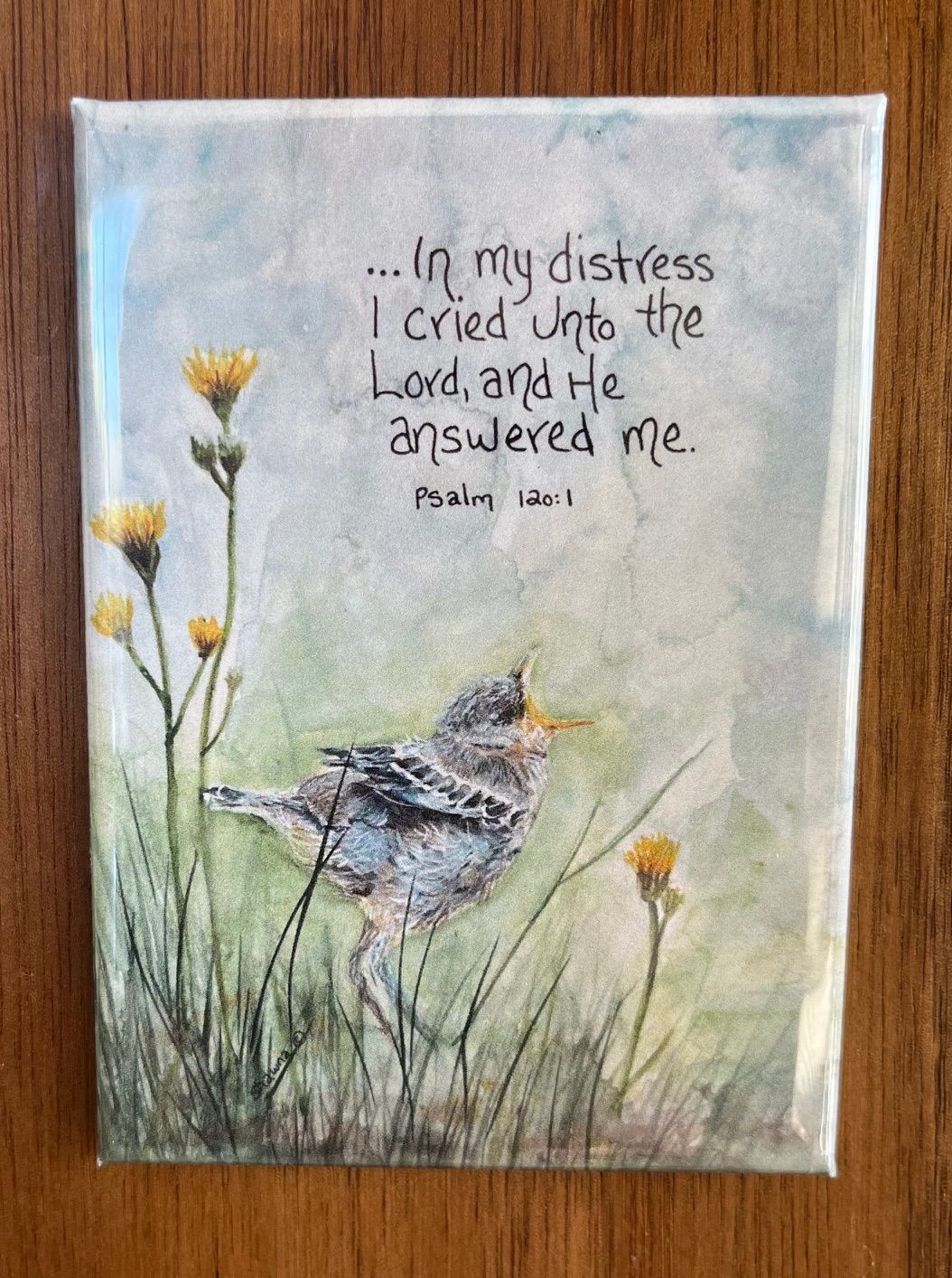 Distress Call (Large Specialty Magnet)