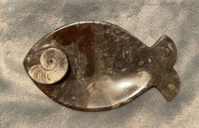 Fossil Fish Little Dish