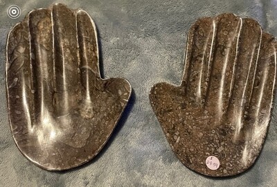 Manifesting Fossil Hand