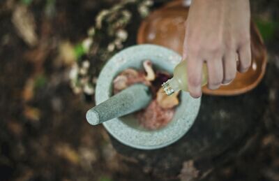 The Medicine Wheel Report