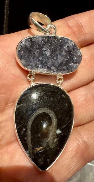 Amethyst &amp; Fossil Pendant