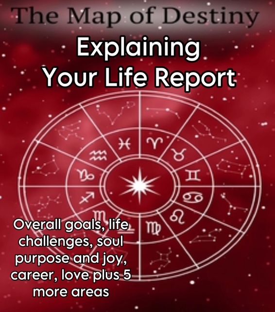 Explaining Your Life Report