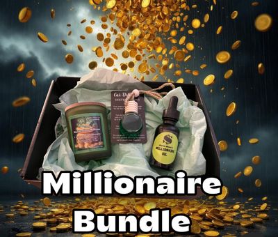 Manifesting Millions Abundance Box