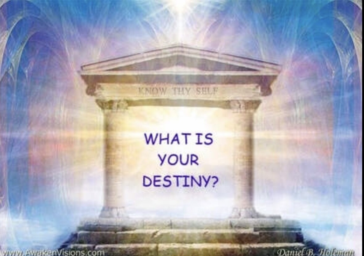 The Cards of Destiny Report with free solar return and transit report