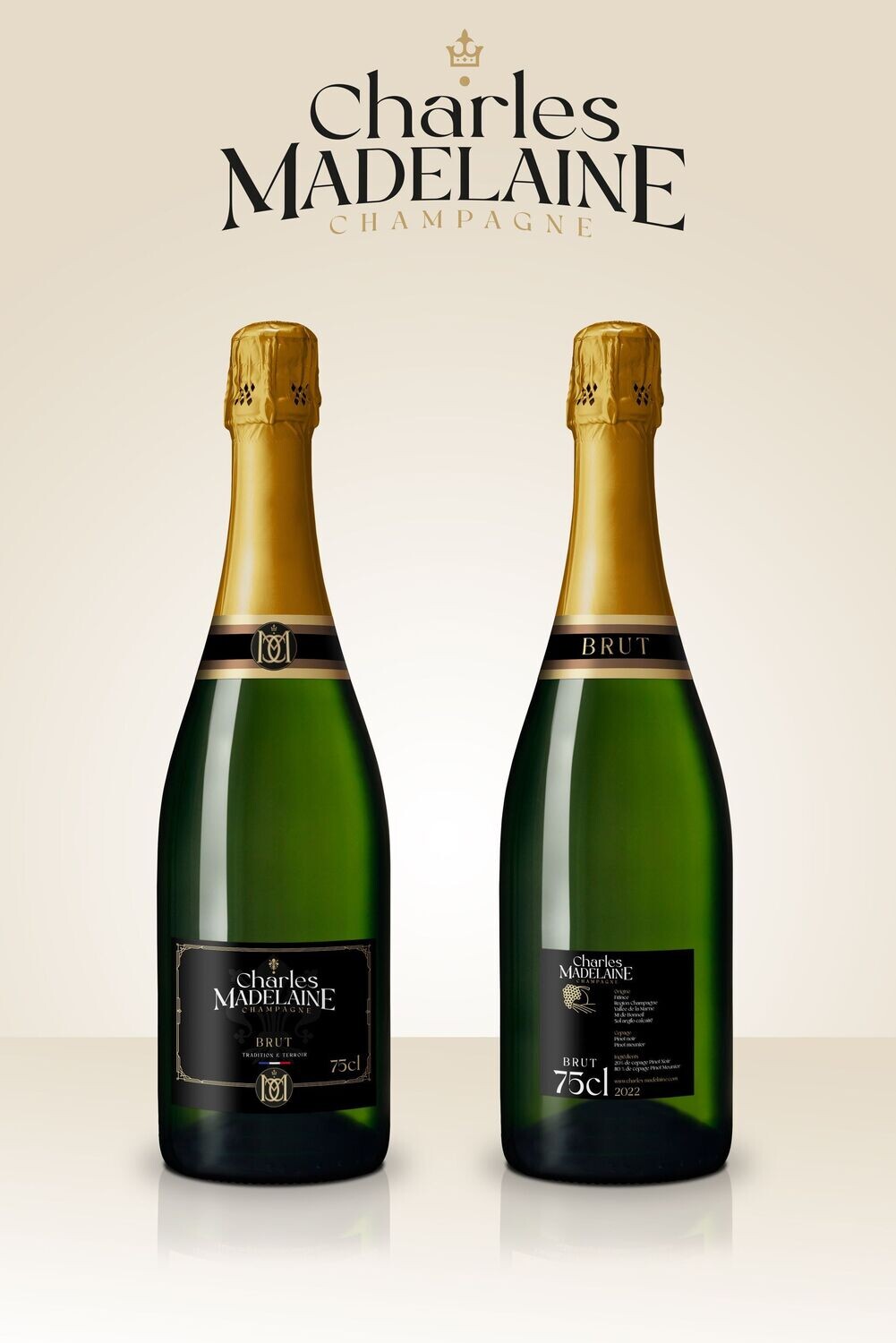 Champagne Brut Bouteille x6