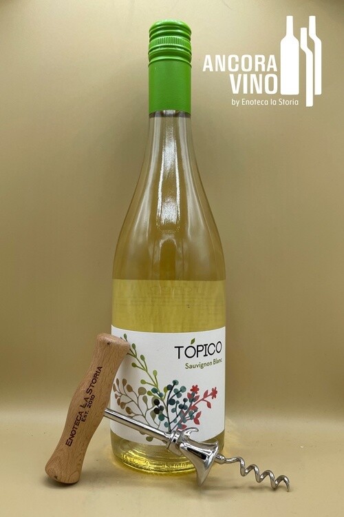 2021 Bodegas La Remediadora Sauvignon Blanc ‘Tópico’