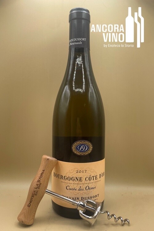 2017 Sylvain Dussort Bourgogne Blanc &quot;Cuvée des Ormes”