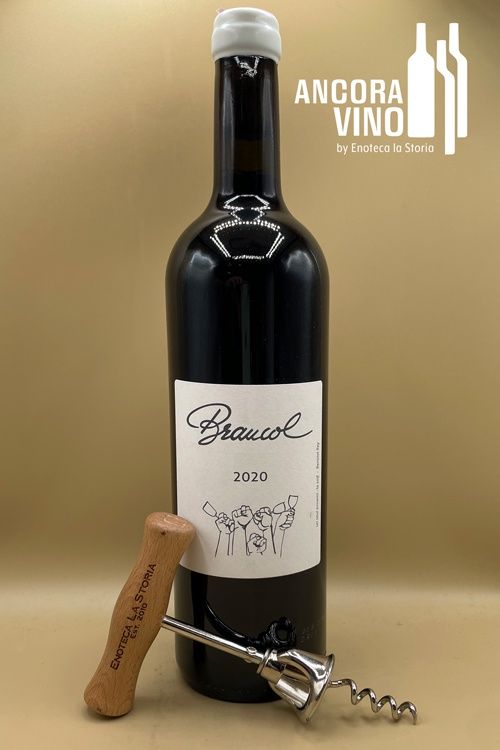 2020 Domaine Plageoles Braucol
