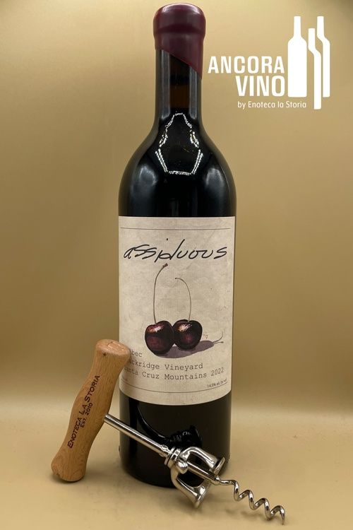 2023 Assiduous Malbec &#39;Black Ridge Vineyard&#39;