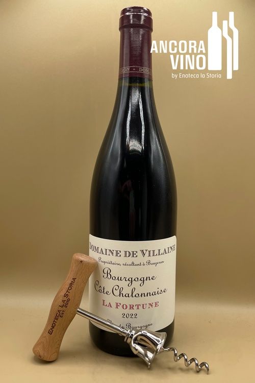 2022 Domaine de Villaine Bourgogne Côte Chalonnaise &#39;La Fortune&#39;