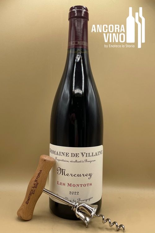 2022 Domaine de Villaine Mercurey &#39;Les Montots&#39;