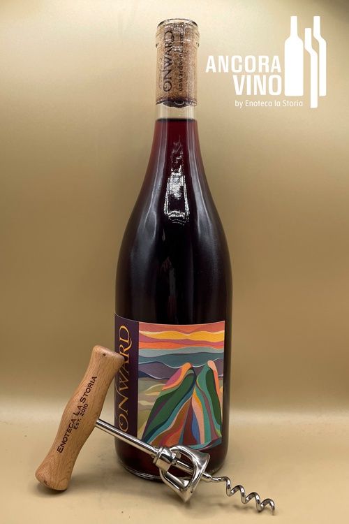 2022 Onward Wines Zinfandel Nouveau