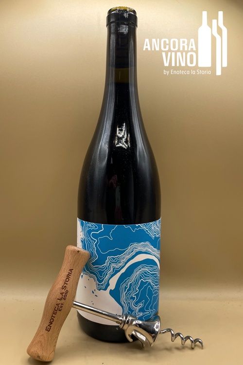 2022 Lioco Pinot Noir Mendocino County