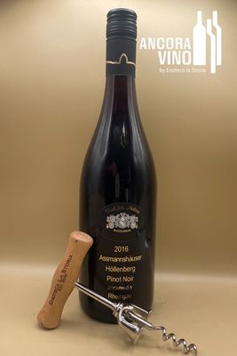 2016 Karl Joh. Molitor &#39;Assmannshäuser Höllenberg&#39; Spätburgunder Trocken