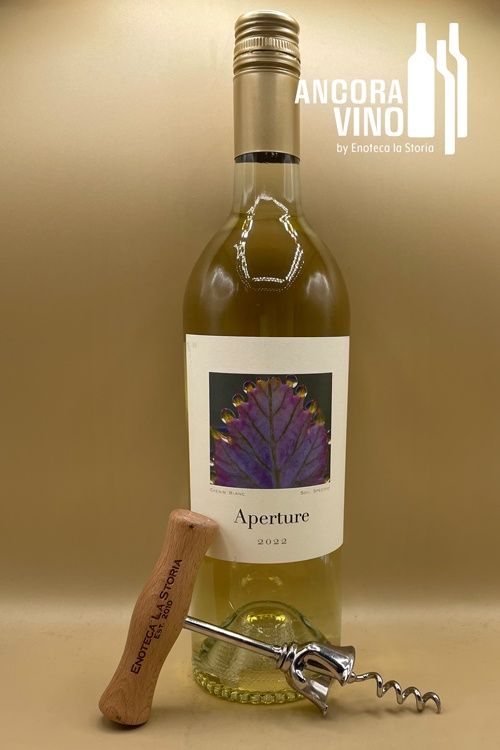 2022 Aperture Chenin Blanc
