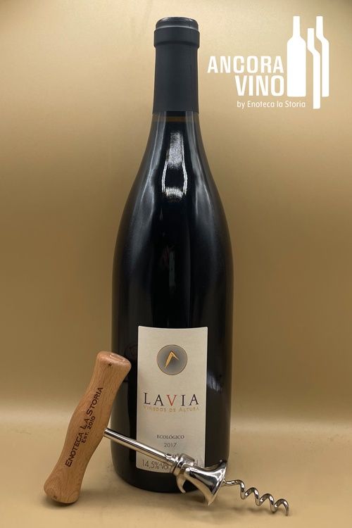 2017 Bodegas Lavia Monastrell/Syrah