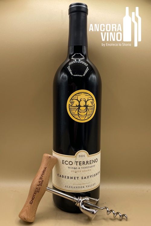 2021 Eco Terreno Cabernet Sauvignon