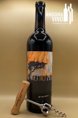 2021 Groundwork Graciano