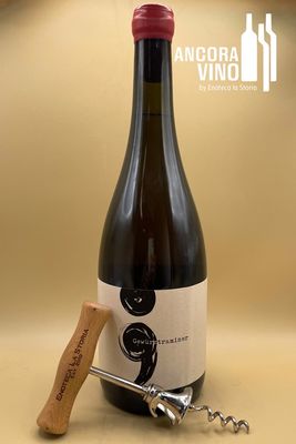 2019 Nikolaihof Gewürztraminer ‘Semicolon’