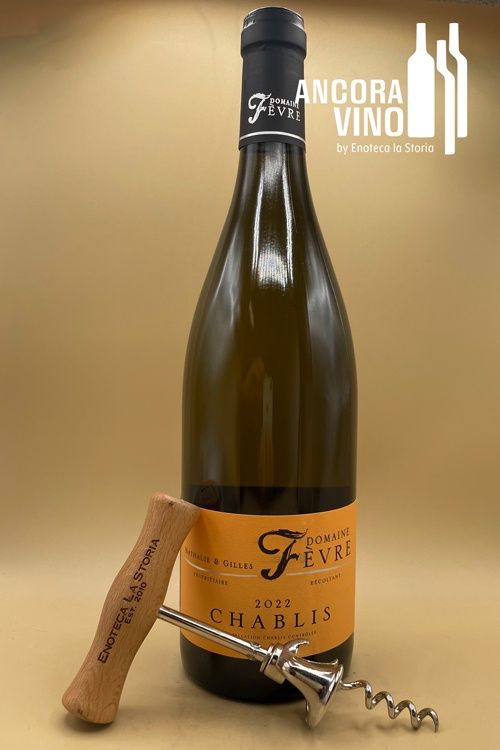 2022 Domaine Nathalie et Gilles Fèvre Chablis