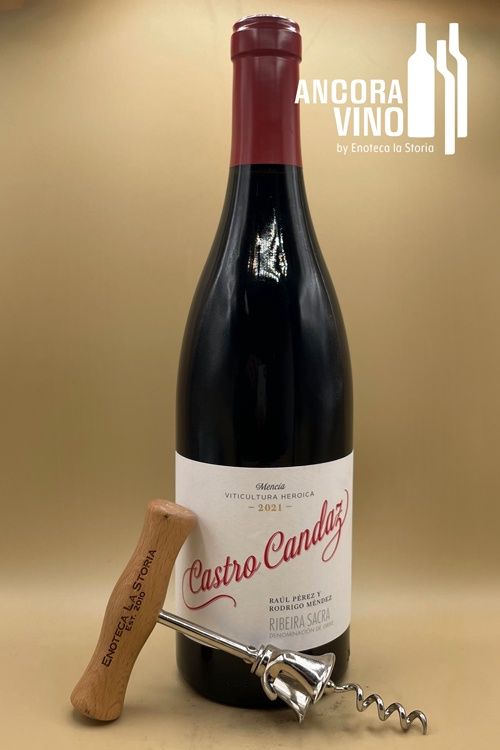 2021 Castro Candaz Ribeira Sacra &#39;Joven&#39;