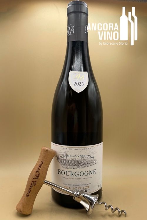 2023 Domaine Pascal &amp; Laurent Borgeot Bourgogne Blanc &#39;Clos de la Carbonade&#39;