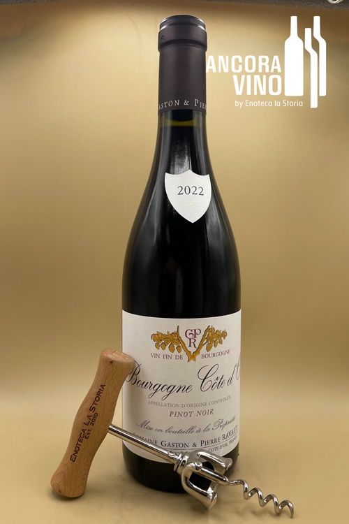 2022 Domaine Gaston &amp; Pierre Ravaut Bourgogne Côte d&#39;Or