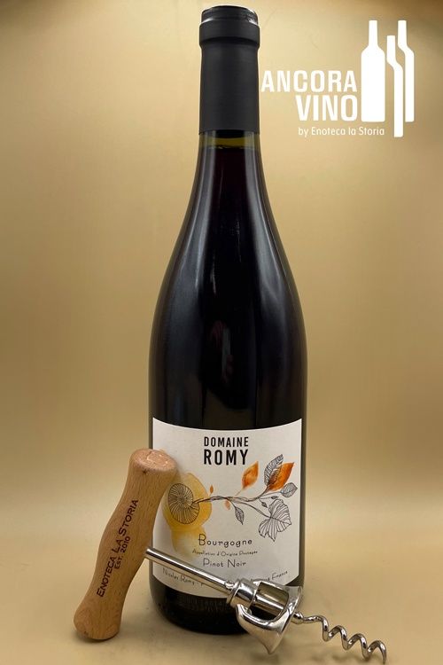 2021 Domaine Romy Bourgogne Rouge