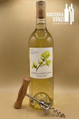 2023 Alma de Cattleya Sauvignon Blanc