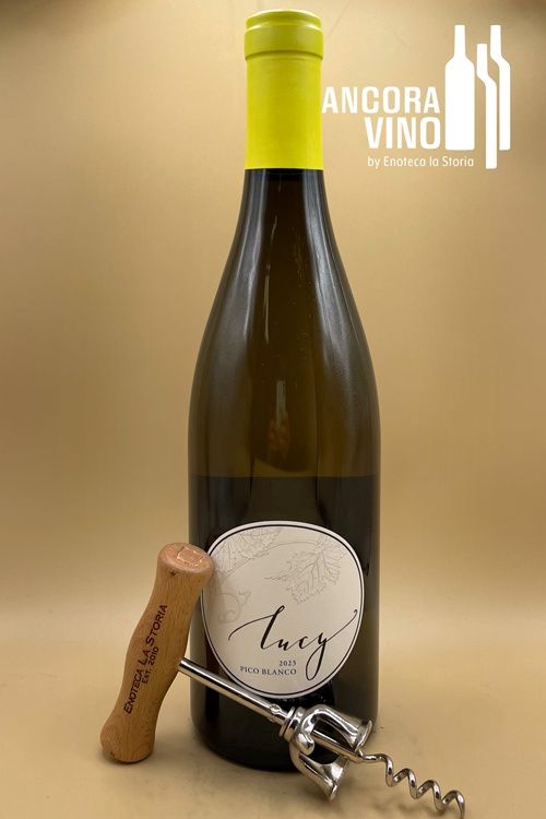 2023  Pisoni Family  &#39;Lucy&#39; Pico Blanco