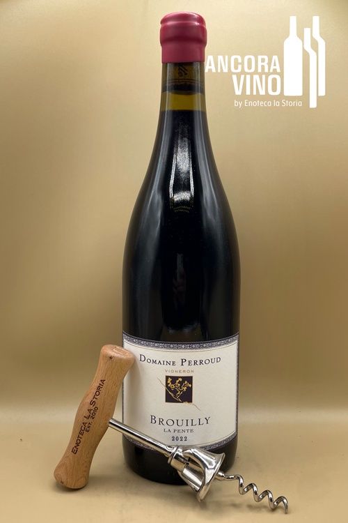 2021 Robert Perroud Beaujolais Brouilly &#39;La Pente&#39;