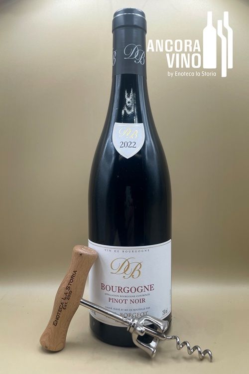 2022 Domaine Borgeot Bourgogne Pinot Noir