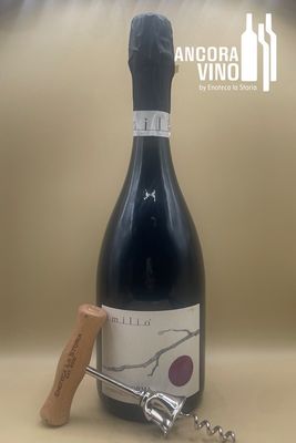2023 Emilio Lambrusco Di Modena DOP 'Nessun Dorma'