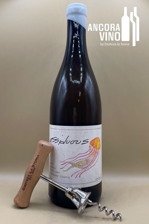 2023 Assiduous Grüner Veltliner 'Mesa del Rio Vineyard'