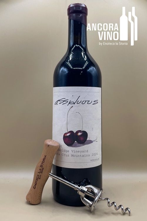 2024 Assiduous Malbec 'Black Ridge Vineyard'