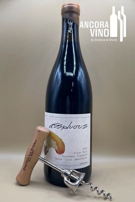 2024 Assiduous Pinot Noir 'Volkmann Vineyard'