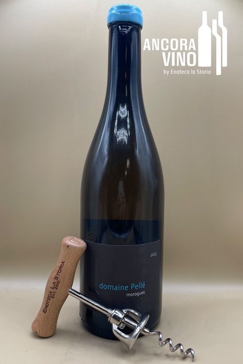 2023 Domaine Pellé Menetou-Salon Blanc 'Morogues'