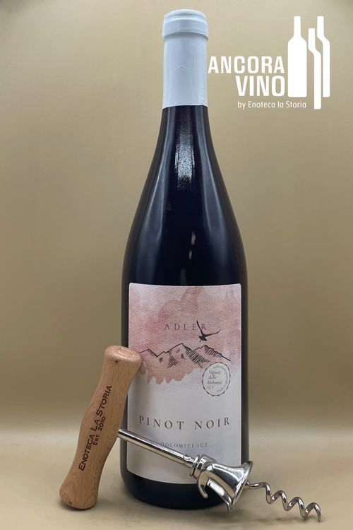 2023 Adler Pinot Noir Vigneti delle Dolomiti IGT
