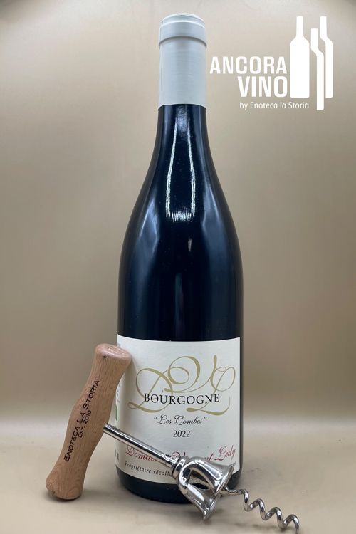 2022 Vincent Ledy Bourgogne Rouge Vieilles Vignes 'Les Combes'