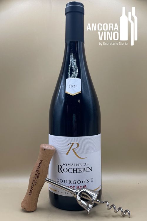 2024 Domaine de Rochebin Bourgogne Rouge