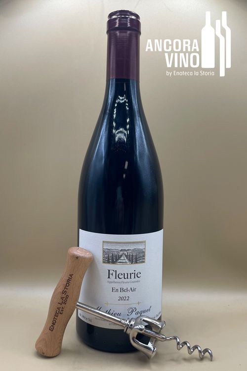 2022 Mathieu Paquet Beaujolais Fleurie 'En Bel Air'