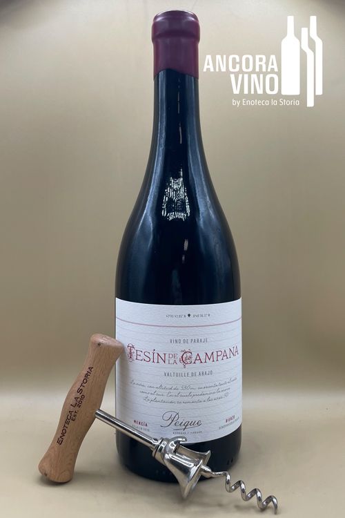2022 Bodegas Peique Mencía ‘Tesín De La Campana’