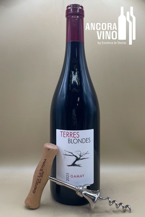 2025 Terres Blondes Touraine Gamay