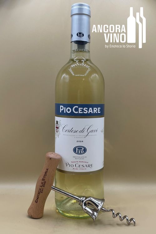 2024 Pio Cesare Cortese di Gavi DOCG