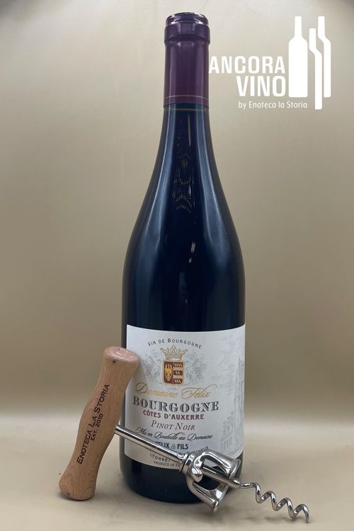 2022 Domaine Félix Bourgogne Côtes d'Auxerre Rouge